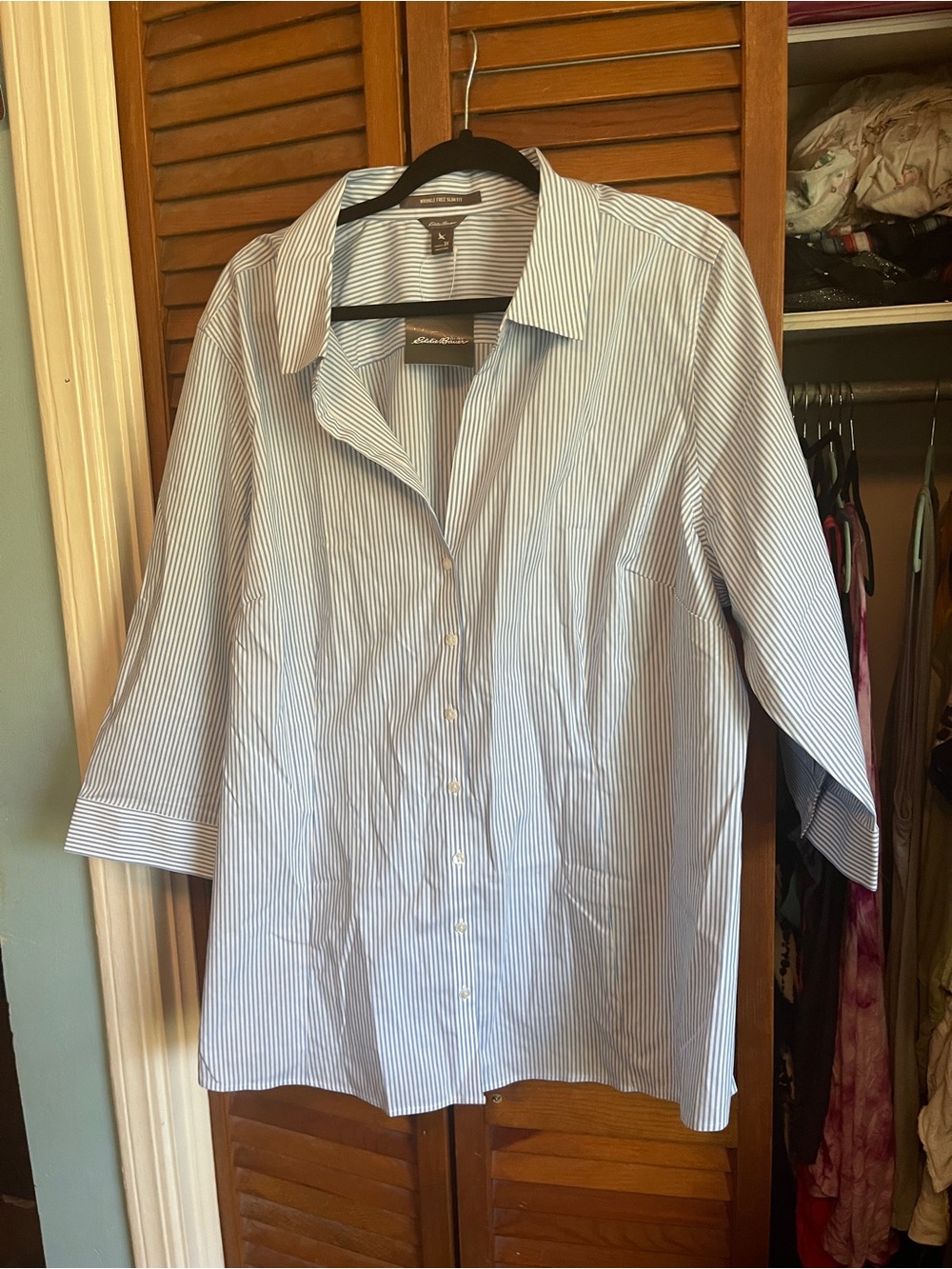 Eddie Bauer Blue and White Striped Dress Shirt